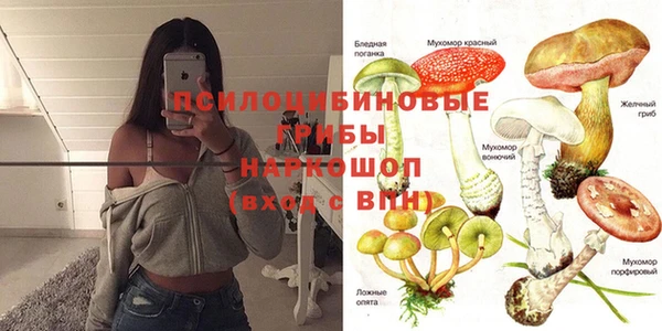 молекула духа Баксан