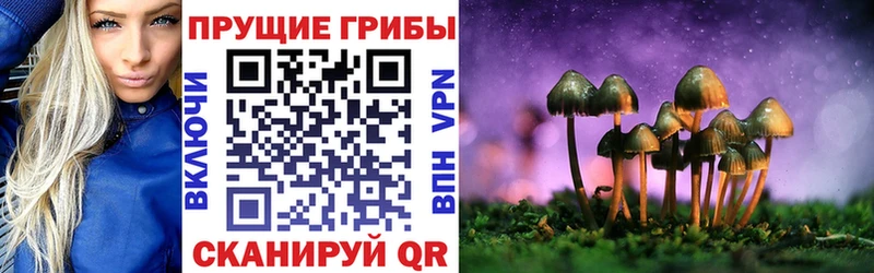 купить наркотик  Озёры  Галлюциногенные грибы Magic Shrooms 